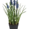 Fiebiger Floristik 203194-706 Цветок декоративный в кашпо "Мускари"