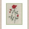 Le Bonheur des Dames 1516 Coquelicot (Розы)