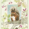 Набор для вышивания Derwentwater Designs WIL4 Red Squirrel