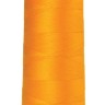 0161-9160