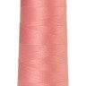 1056-9160