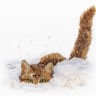 Набор для вышивания М.П.Студия НВ-557 Кот в снегу