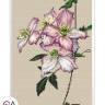 Набор для вышивания Collection D'Art BC8114 Клематис