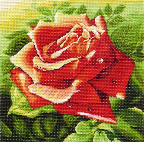 Канва с нанесенным рисунком