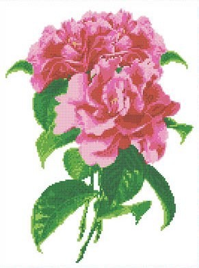 Каролинка ТКБЦ 3037 Камелия
