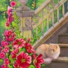 Матренин Посад 4107 Дачник