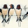 Набор для вышивания Derwentwater Designs BB05 Swallows