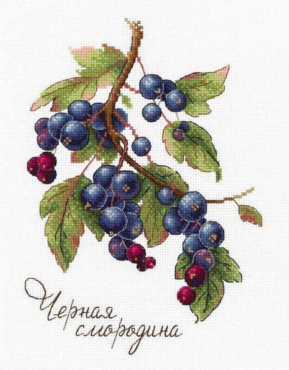 Набор для вышивания М.П.Студия НВ-694 Дары природы. Чёрная смородина