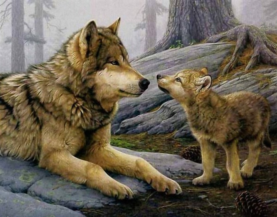 El tiempo entre un perro y un lobo