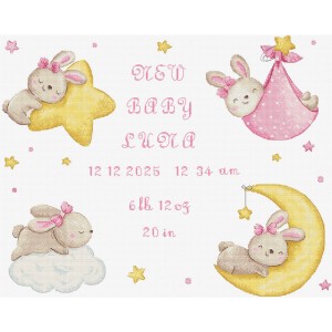 LetiStitch L9943 Baby Girl record (Запись для маленькой девочки)