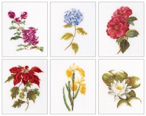 Thea Gouverneur 3087 Six Floral Studies