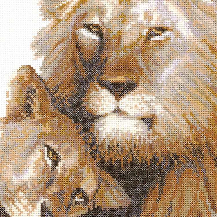 Набор для вышивания Риолис 100/013 Львиный рай