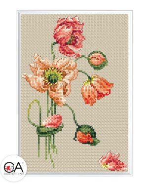 Collection D'Art BC8111 Мак