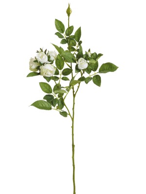 Fiebiger Floristik 206866-130 Ветка декоративная "Роза"