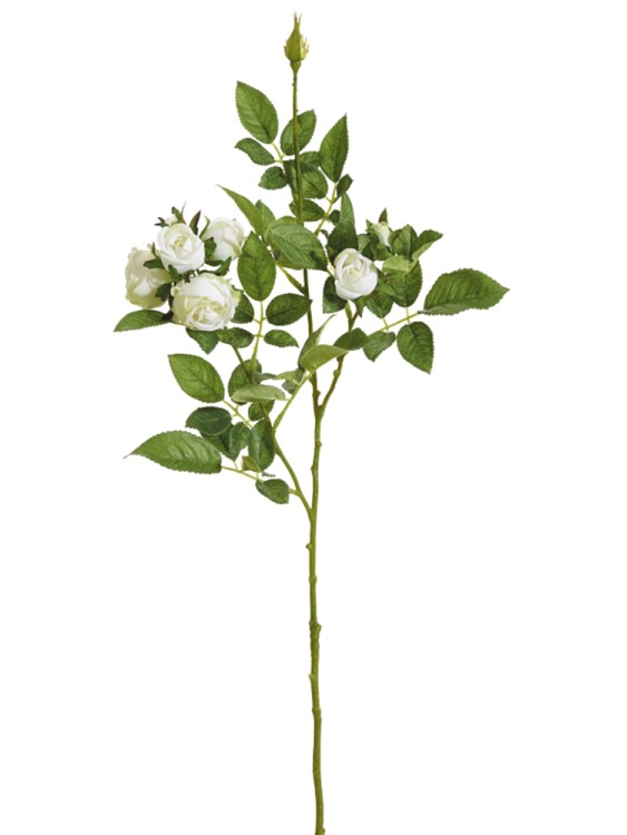 Fiebiger Floristik 206866-130 Ветка декоративная "Роза"