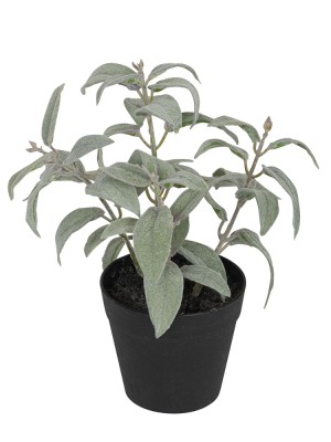 Fiebiger Floristik 106230-801 Цветок декоративный в кашпо "Шалфей"