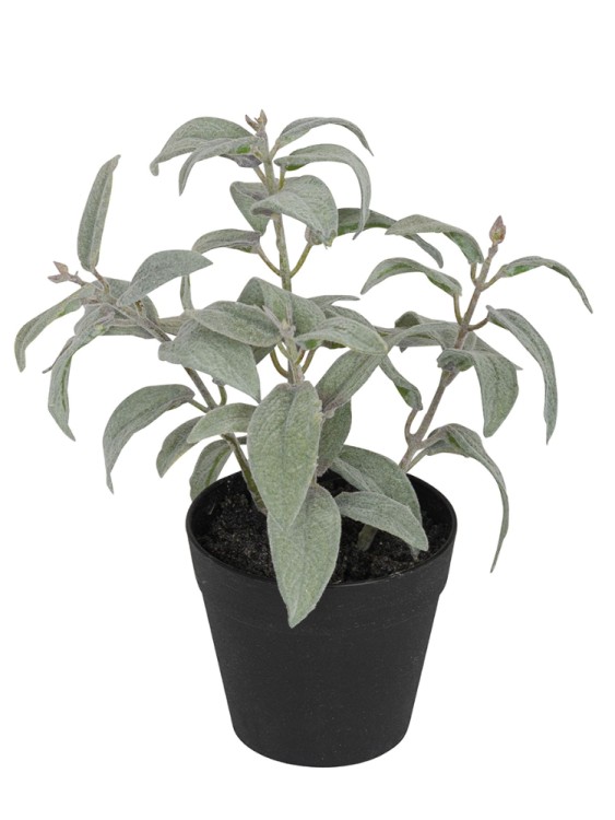 Fiebiger Floristik 106230-801 Цветок декоративный в кашпо "Шалфей"