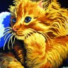Collection D'Art 6229 Ткань с рисунком для вышивания