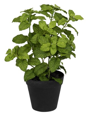 Fiebiger Floristik 106281-800 Цветок декоративный в кашпо "Мята"
