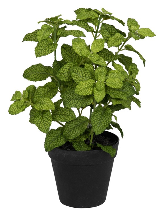 Fiebiger Floristik 106281-800 Цветок декоративный в кашпо "Мята"