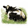 Набор для вышивания Thea Gouverneur 452 Cow (Корова)