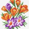 Матренин Посад 1446-1 Крокус