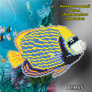 Арт Соло АТМ65 Магнит "Императорский ангел (Pomacanthus imperator)"