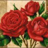 Конек 9867 Красные розы