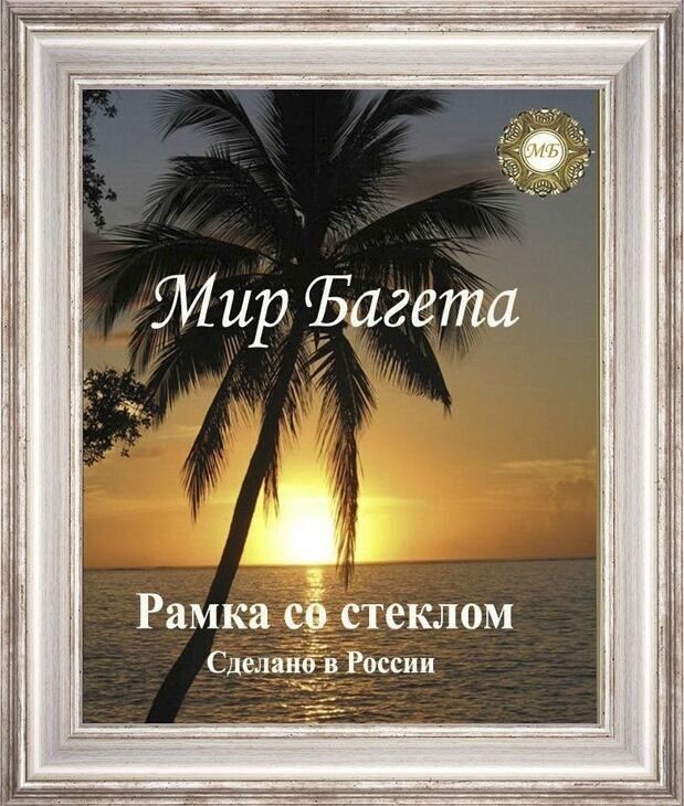 Мир багета 30БА 485-716_ПЛ Багетная рама