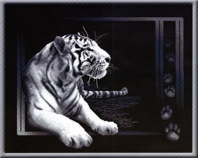 Набор для вышивания Панна J-0277 (Ж-0277) Белый тигр
