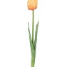 Fiebiger Floristik 203612-200 Цветок декоративный "Тюльпан"