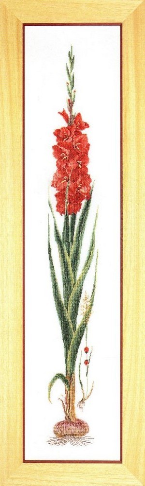 Thea Gouverneur 3073 Gladioli Red