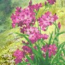 Каролинка ТКБЦ 3039 Луговые цветы