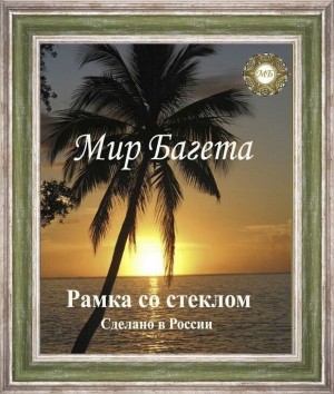 Мир багета БА50 485-642_ПЛ Багетная рама