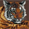 Матренин Посад 0883 Сибирский тигр