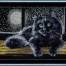 Набор для вышивания Золотое руно К-009 Черный кот Набор для вышивания Золотое руно К-009 Черный кот