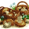 Матренин Посад 1021 Грибная пора