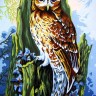 Collection D'Art 6252 Ткань с рисунком для вышивания