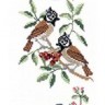Набор для вышивания Eva Rosenstand 13-359 Birds - Птицы