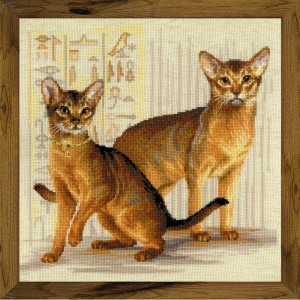 Риолис 1671 Абиссинские кошки