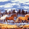 Collection D'Art 13982 Ткань с рисунком для вышивания