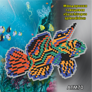 Арт Соло АТМ70 Магнит "Мандаринка глянцевая (Synchiropus splendidus)"
