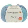 Schachenmayr 9811776-07698