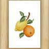 Набор для вышивания Schaefer 487/5 Лимон и апельсин