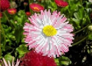 Каролинка ТКБЦ 5018 Майский цветок