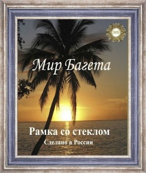 Мир багета БА50 485-688_ПЛ Багетная рама