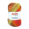 Katia 1369.54