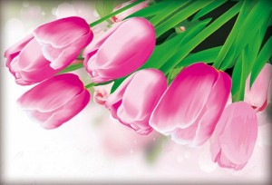 Солнце H-4103 Розовые тюльпаны