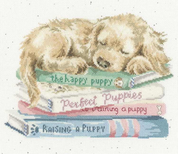 Набор для вышивания Bothy Threads XHD153 A Pups Life (Жизнь щенка)