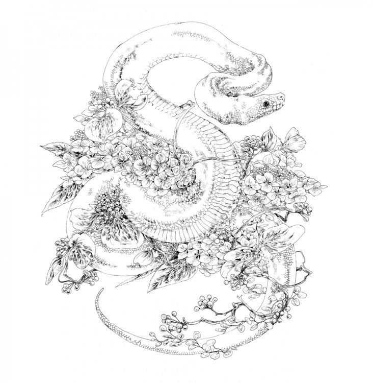 Раскраска-скетчбук Мир поразительных существ Кэна Мацуды (желтая со слоном)